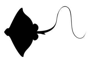 320x213 Manta Ray Silhouette Decal Sticker