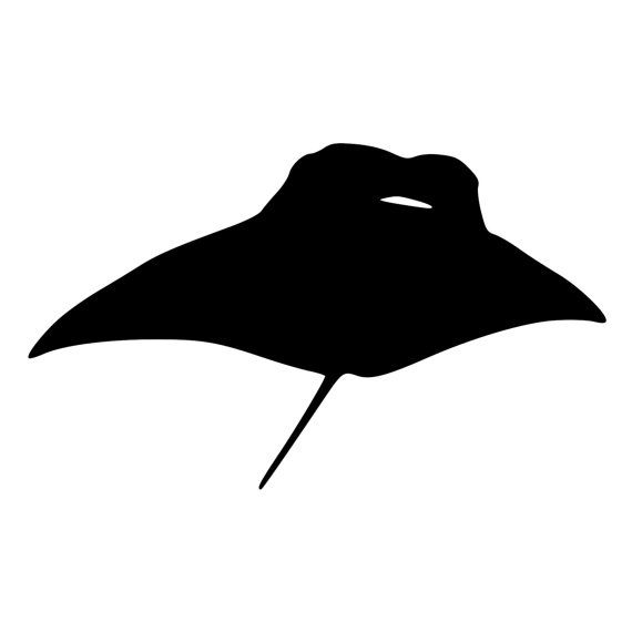 570x570 Manta Ray Silhouette Die Cut Decal Car By Beemountaingraphics