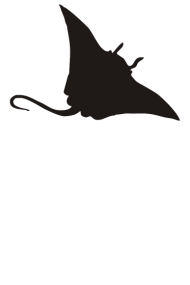 190x285 Manta Ray Silhouette Funny Fishing By Krisna20 Spreadshirt