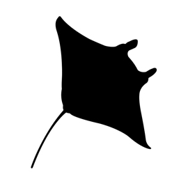 270x270 Manta Ray Silhouette Stencil Free Stencil Gallery