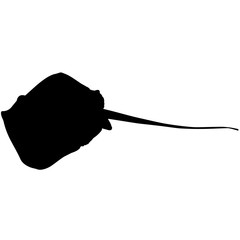 240x240 Mantas To Photos, Royalty Free Images, Graphics, Vectors Amp Videos