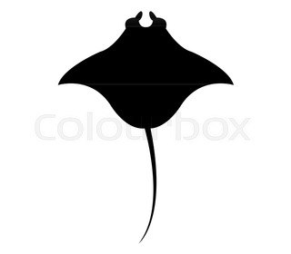 320x280 Atlantic Manta Stock Vector Colourbox