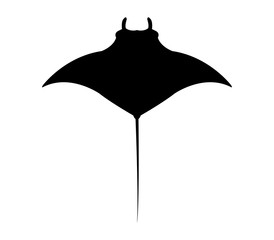274x240 Search Photos Manta Ray