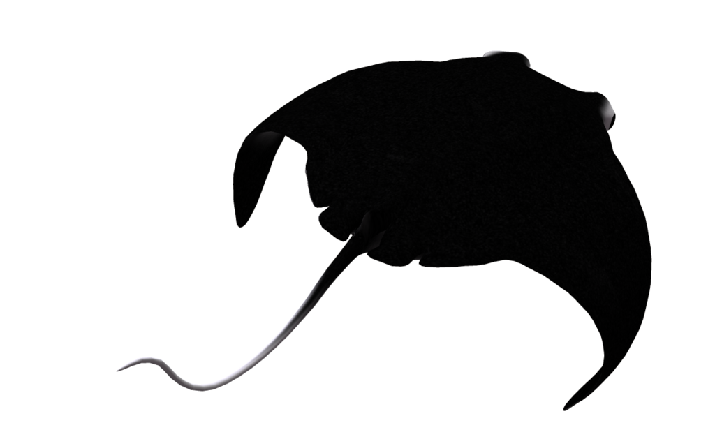 1024x639 Manta Ray 06 By Wolverine041269