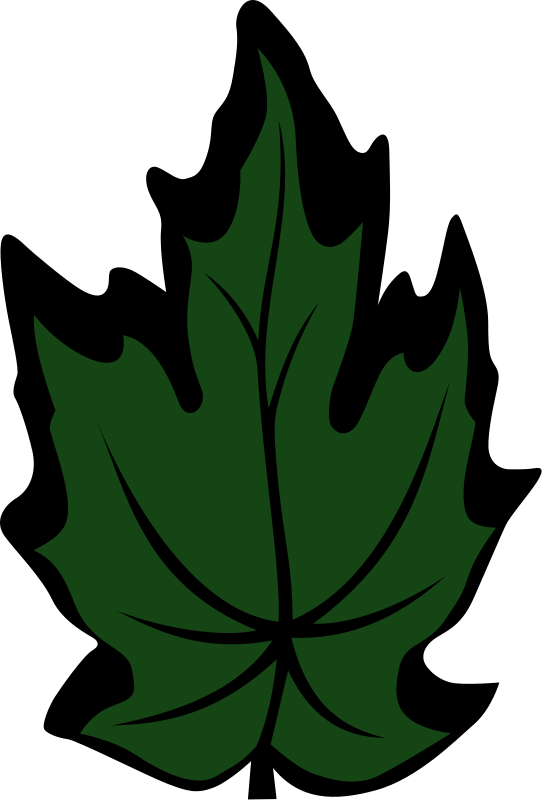 542x800 Maple Leaf Silhouette Clip Art Download