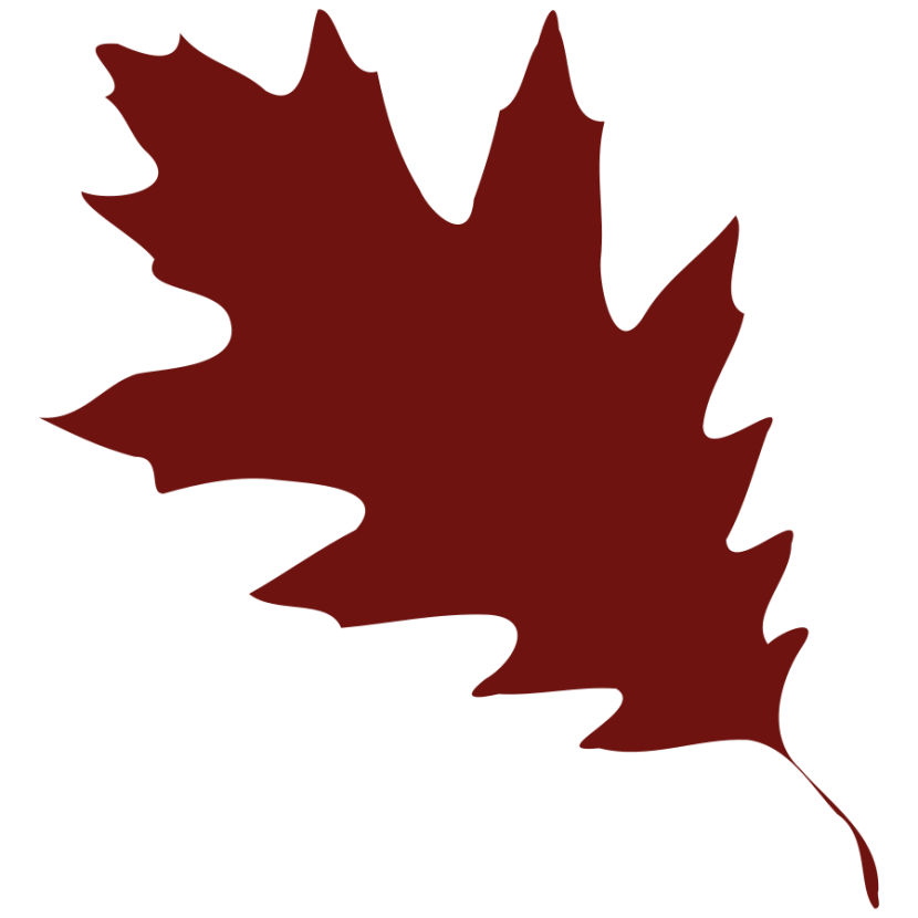 830x830 Maple Leaf Clipart Silhouette