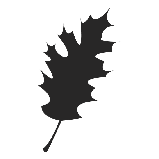 512x512 Maple Leaf Silhouette