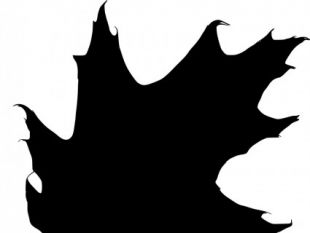 310x233 Black Leaf Silhouettes Free Vectors Ui Download