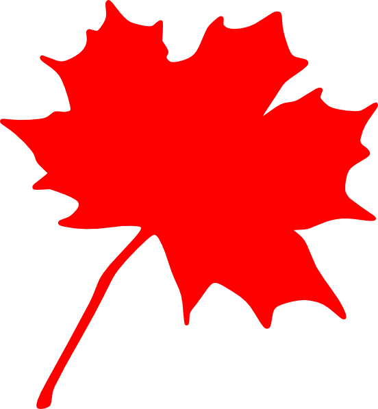 552x597 Maple Leaf Clip Art