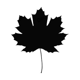 310x310 Maple Leaf Silhouette