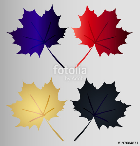 481x500 Set Maple Leaf
