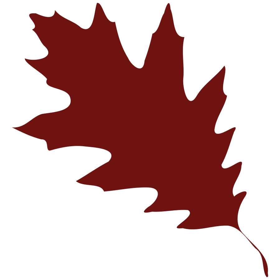 900x900 Best Maple Leaf Clip Art