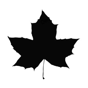 310x310 Toothed Maple Leaf Silhouette Plants Decals, Decal Sticker