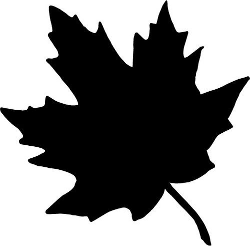 500x491 Maple Leaf Silhouette Projects Cricut, Happy Fall