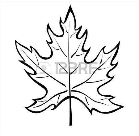 450x442 Drawn Maple Leaf Silhouette