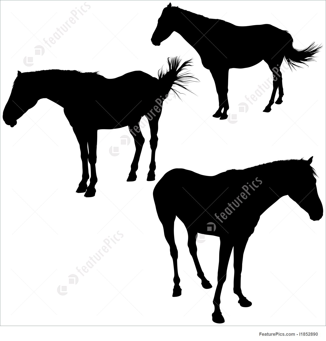 1300x1360 Horses Silhouettes Illustration