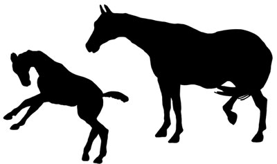 400x237 Silhouette Graphics