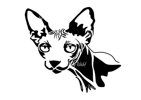 570x403 Sphynx Cat Design Art Svg Png Sphynx Cat Silhouette Vector