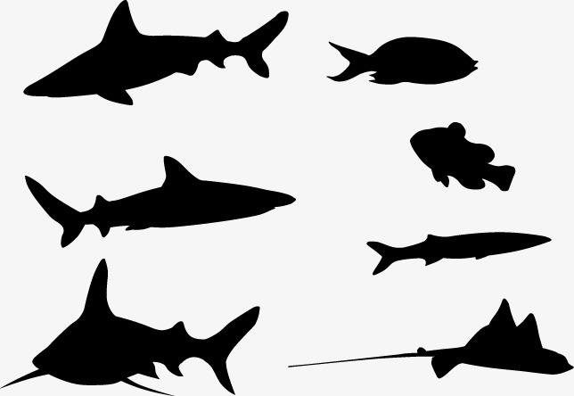 644x444 Fish Silhouette, Black, Sketch, Marine Life Png Image And Clipart