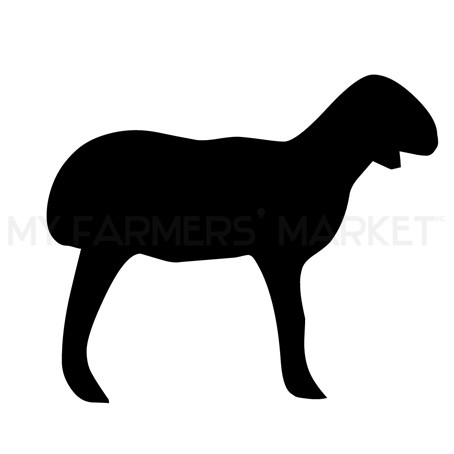 454x454 Pastured Lamb, Leg Steak