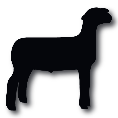 Market Lamb Silhouette at GetDrawings | Free download