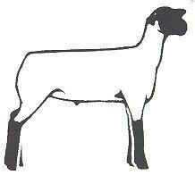 218x196 Club Show Lambs Clipart Market Goat Amp Lamb Show Program