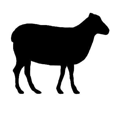 396x373 Craig Trading Meat Market