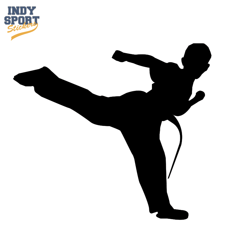800x800 Martial Arts Karate Male Boy Kicking Silhouette