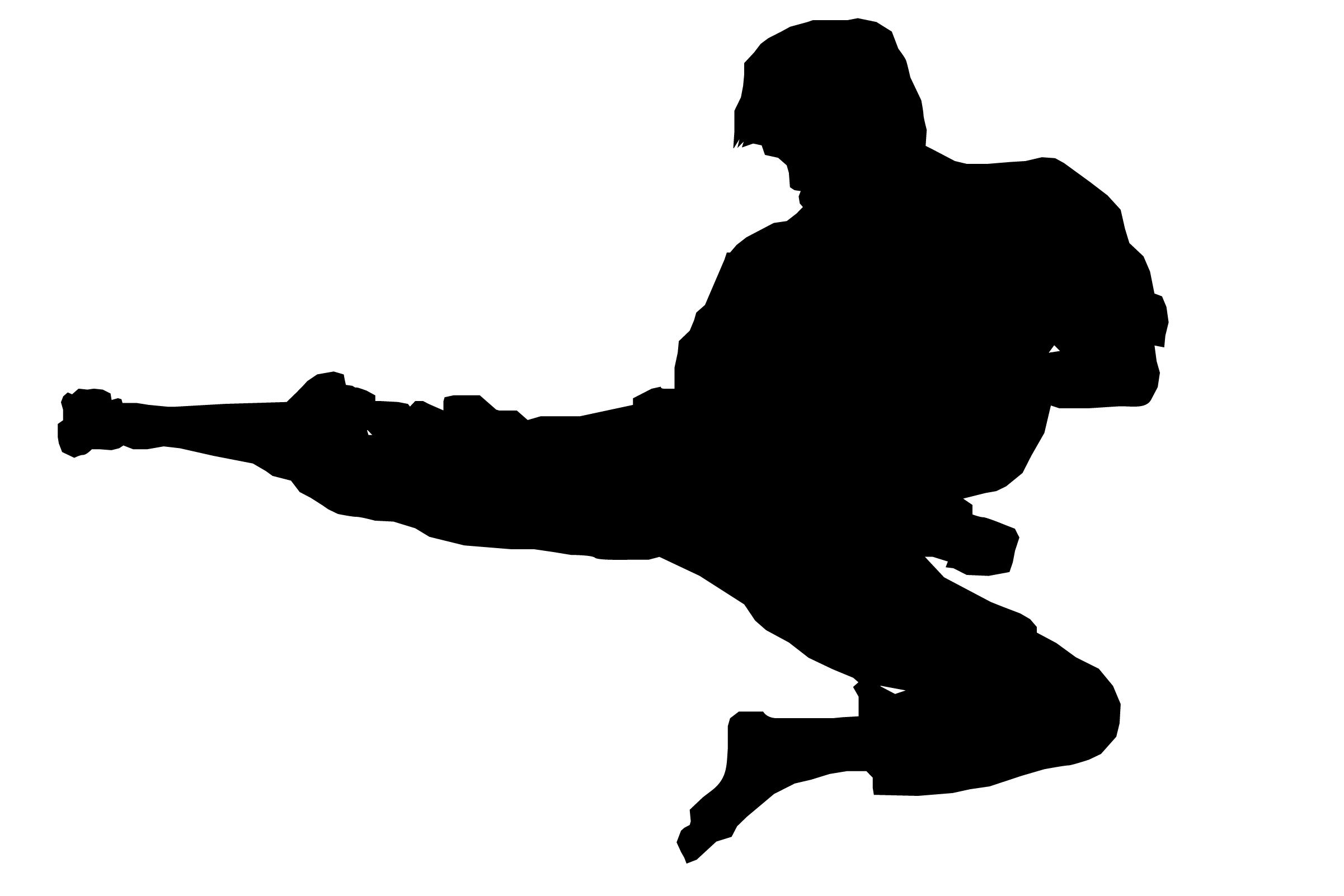 2402x1602 Pin By Petra On Karate Clip Art, Silhouettes And Martial