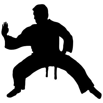 355x355 Martial Arts Wall Decal Sticker 16
