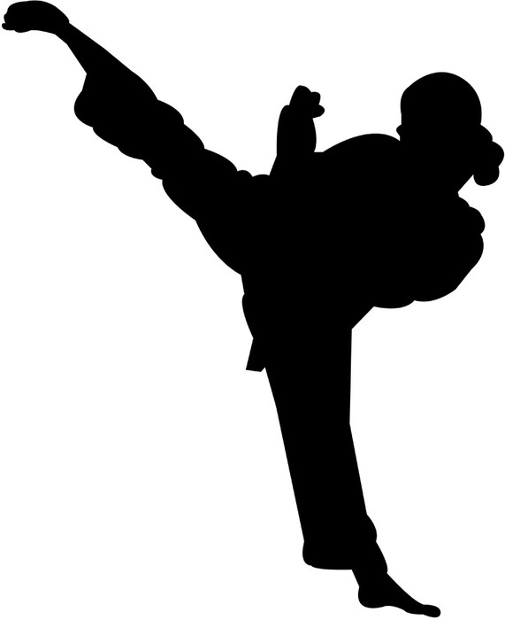 571x700 Martial Arts Silhouette Wall Mural We Live To Change
