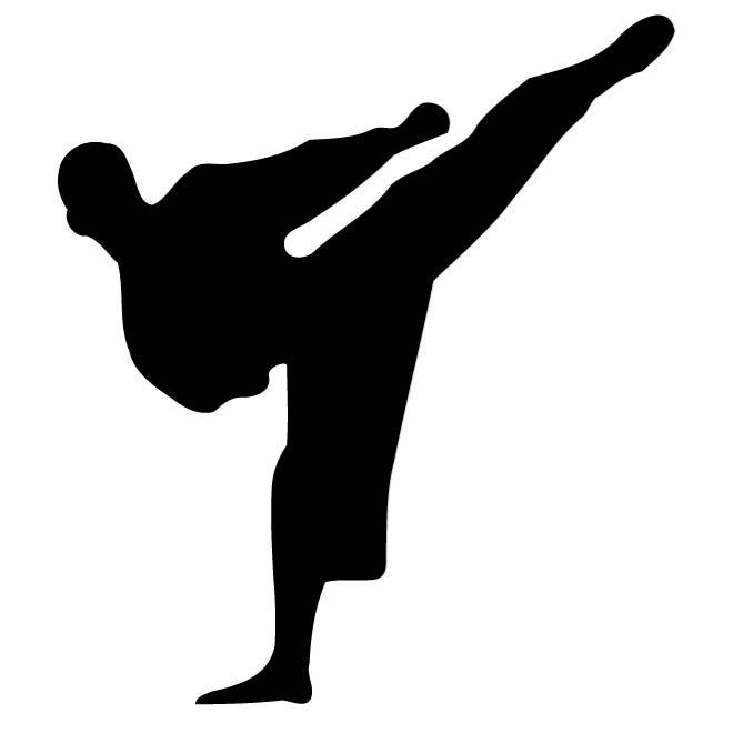 660x660 Karate Kick Silhouette