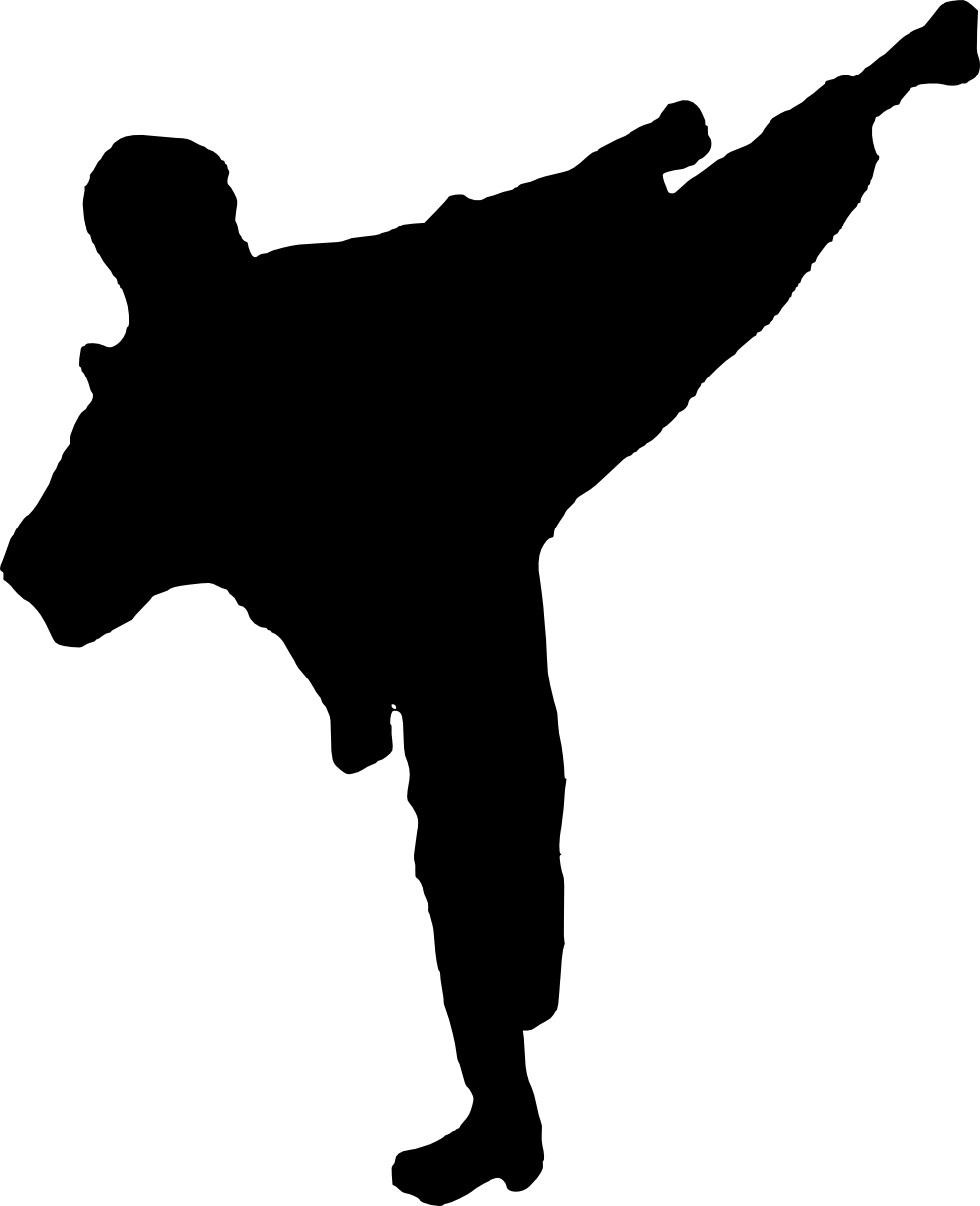 Martial Arts Silhouette