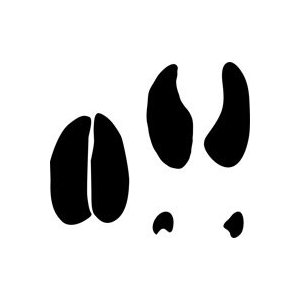 300x300 Martin Luther King Clipart