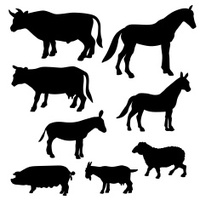 200x200 Silhouette Of Donkey Stock Vector