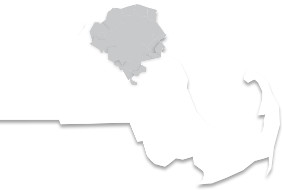 565x381 Termite Control In Eastern Massachusetts