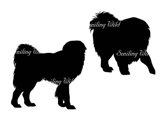 570x403 Tibetan Mastiff Png Vector Graphic Art Svg Silhouette