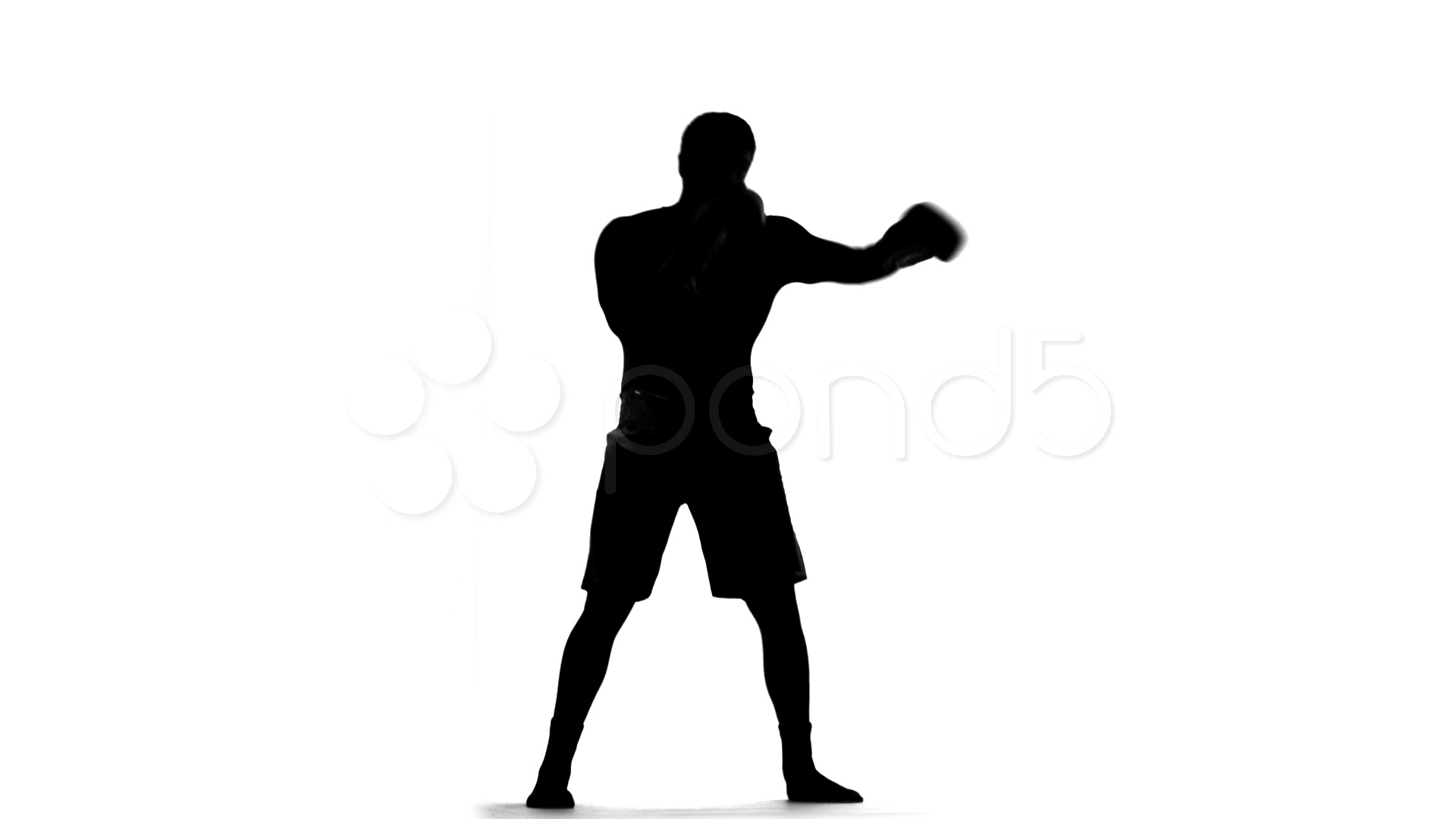 1920x1080 Video Boxing Showdown Silhouette Slow Motion Boxers Face Off