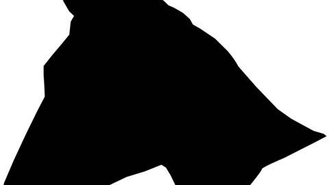 480x270 Applikationsvorlage Hase Silhouette