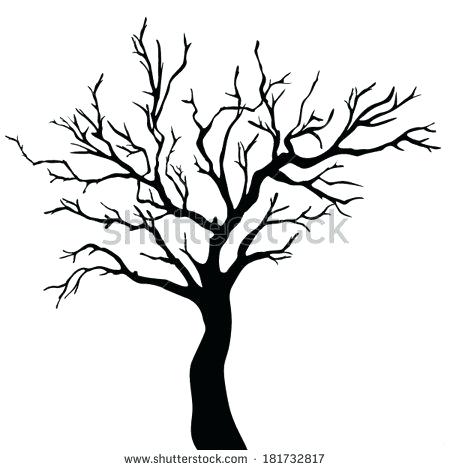 450x470 Tree Silhouette Black Stock Photos Images Pictures Tree Outline