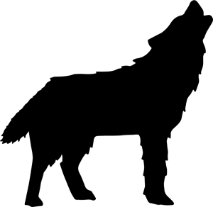 300x292 Sedona Jeep Tours, Horseback Riding, And More