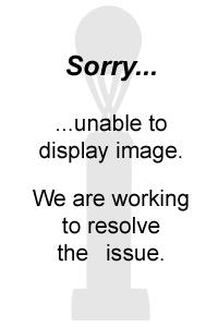 200x300 Medalsdogtags