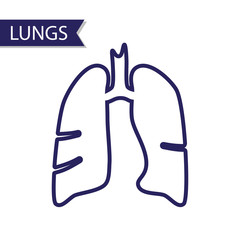 240x240 Breath Photos, Royalty Free Images, Graphics, Vectors Amp Videos