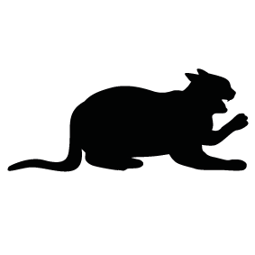 283x283 Willowclan Charm Cats Wiki Fandom Powered By Wikia