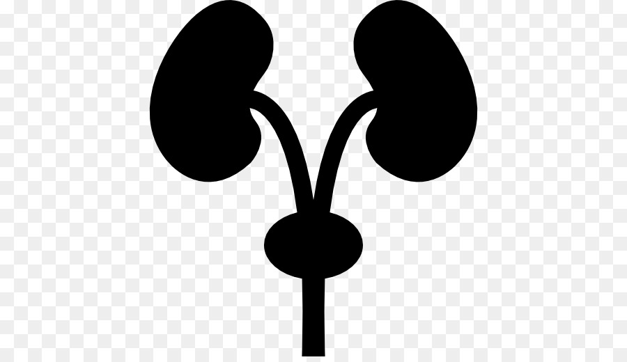 900x520 Computer Icons Hospital Health Care Clinic Medicine