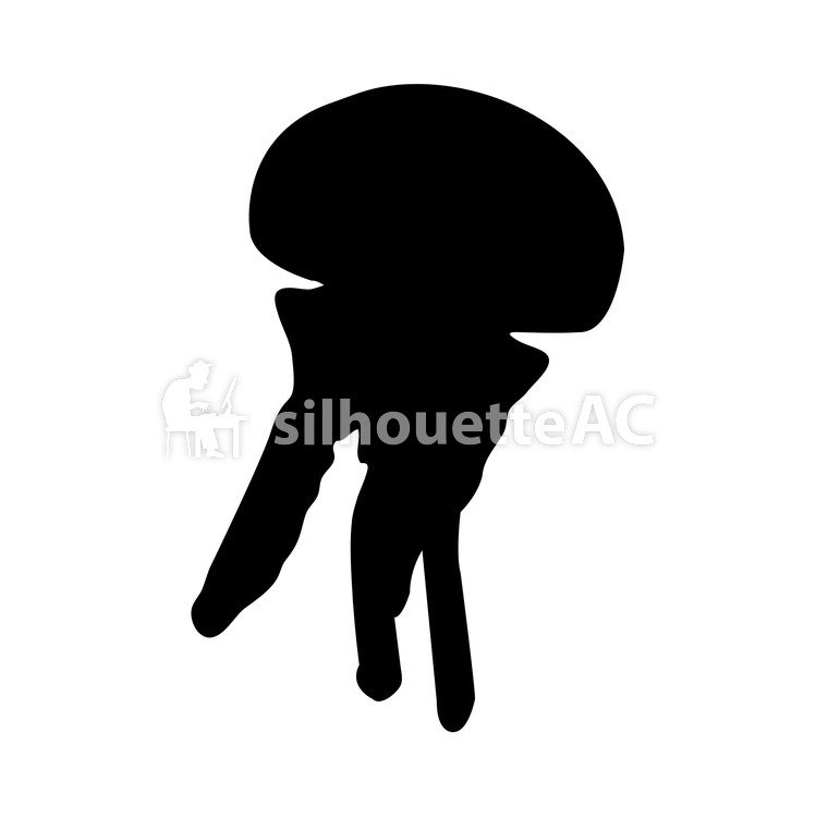 749x750 Kostenlose Silhouetten Medusa, Una Silueta