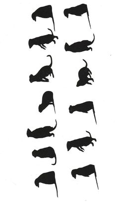 236x411 Meerkat Standing