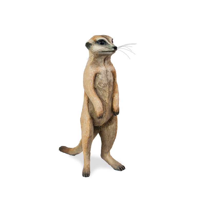 800x800 Young Standing Meerkat Statue