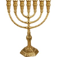 200x200 Holy Land Menorah