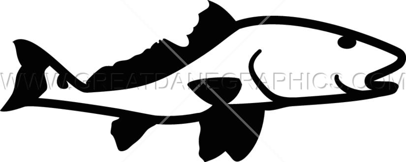 825x330 List Of Synonyms And Antonyms Of The Word Redfish Silhouette